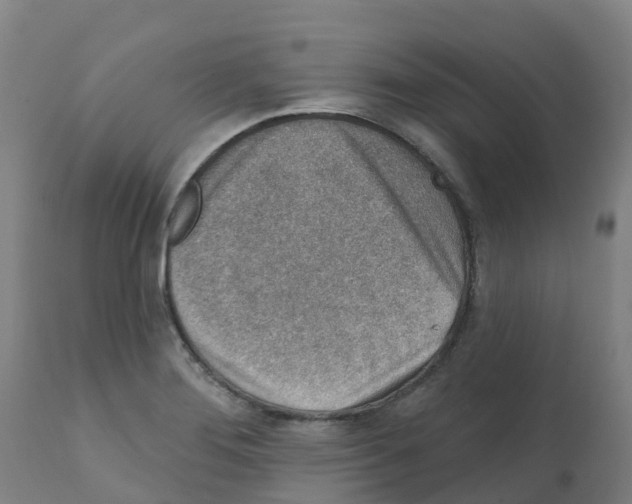 X0000112391276200909241230