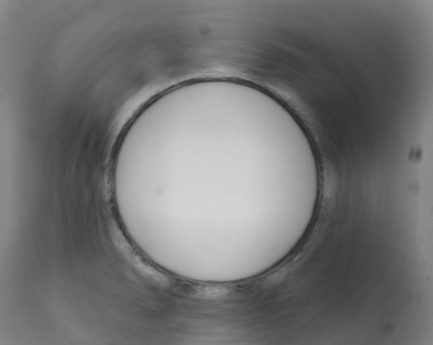 X0000112391278200909241230