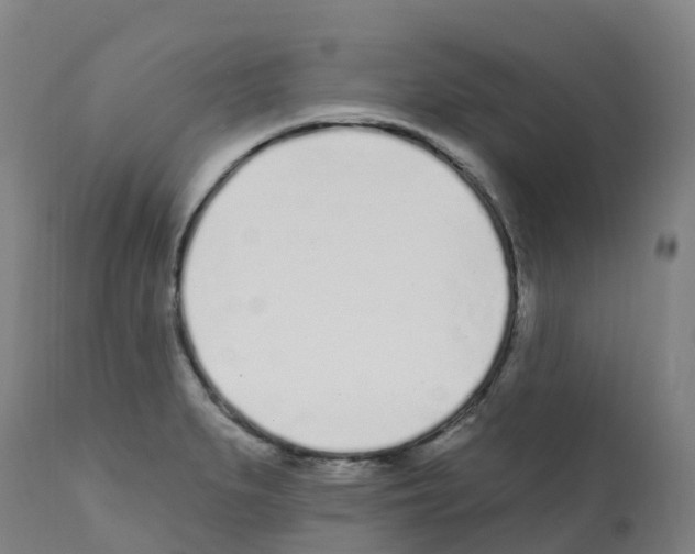 X0000112391279200909241230