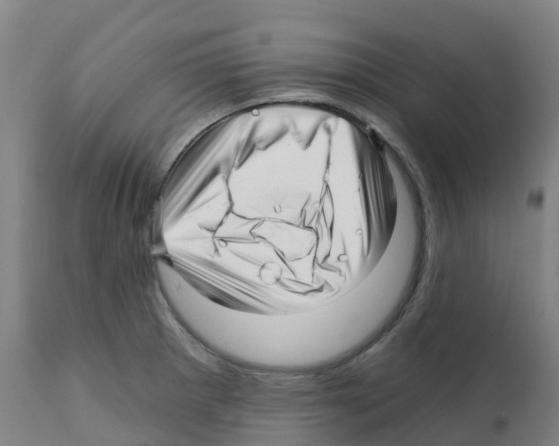 X0000112391281200909241230