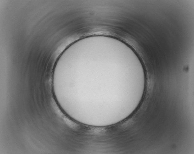 X0000112391282200909241230