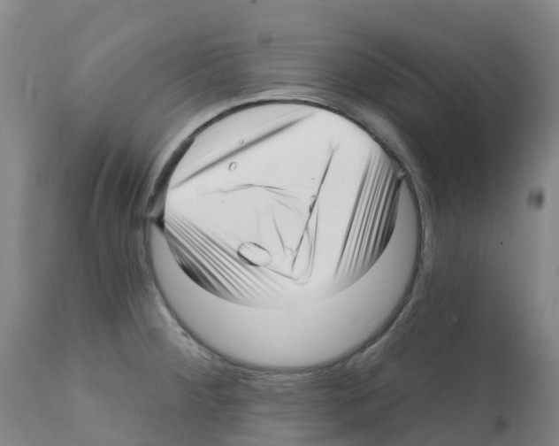 X0000112391284200909241230