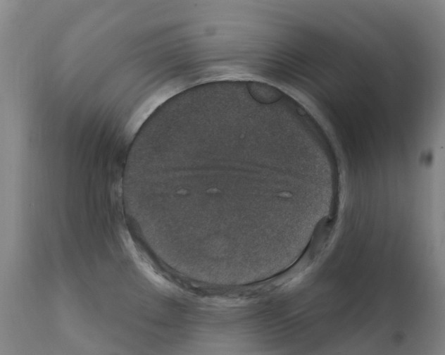 X0000112391289200909241230