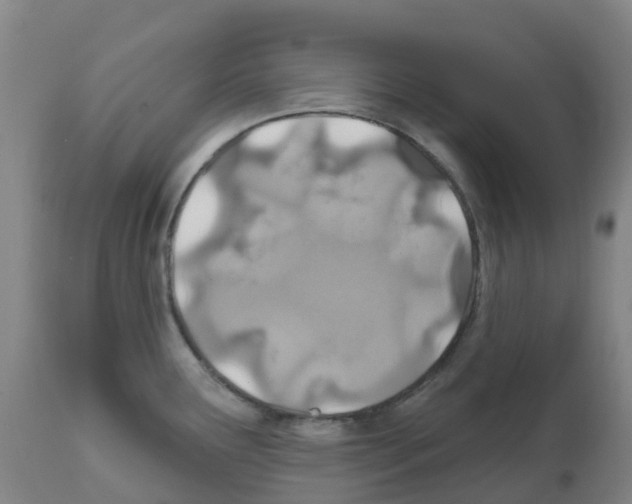 X0000112391291200909241230