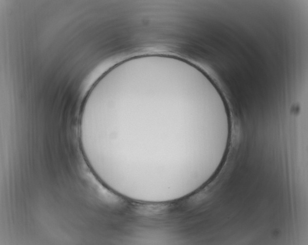 X0000112391294200909241230