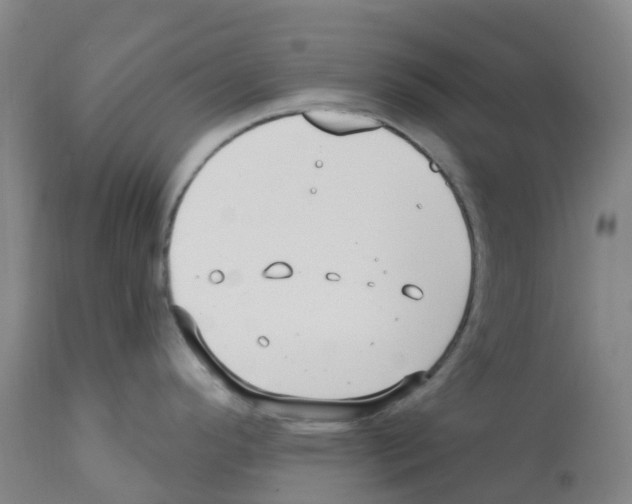 X0000112391296200909241230