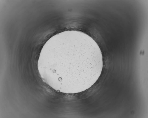 X0000112391297200909241229