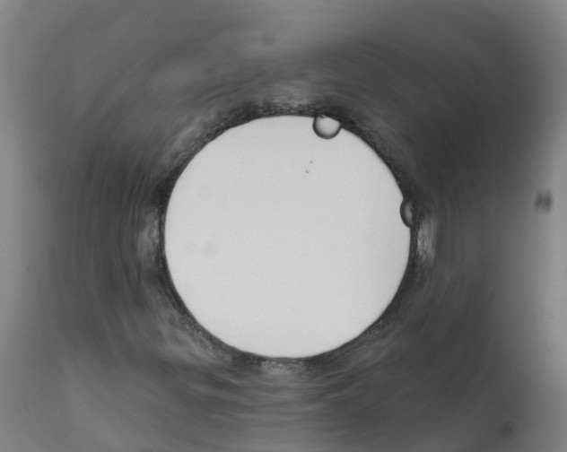 X0000112391299200909241229