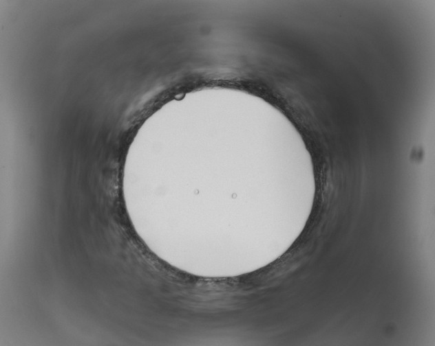 X0000112391301200909241229