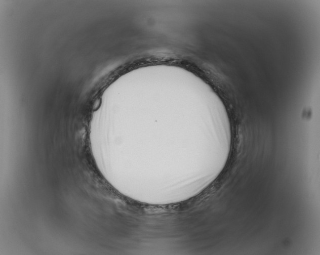 X0000112391302200909241229