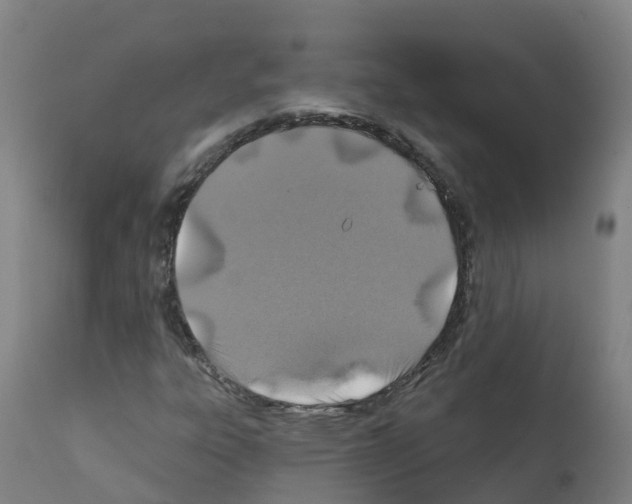 X0000112391303200909241229