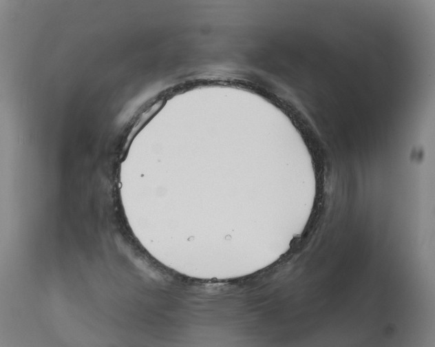 X0000112391304200909241229