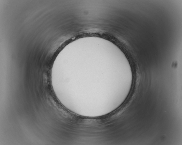 X0000112391305200909241229