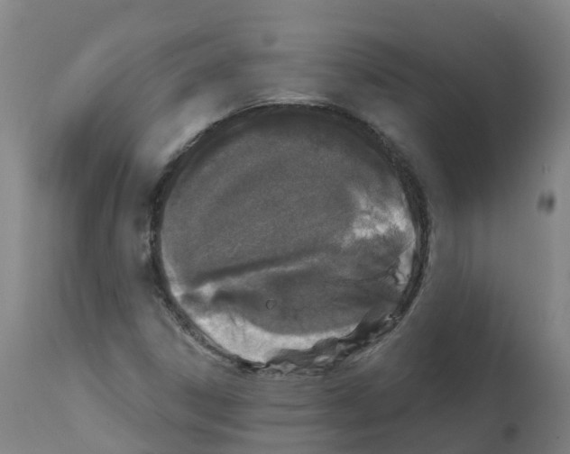 X0000112391306200909241229