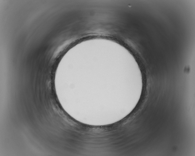 X0000112391307200909241229