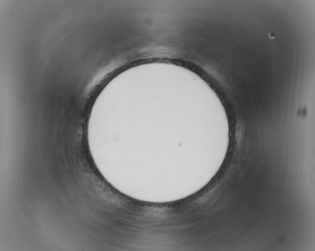 X0000112391309200909241229