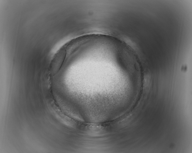 X0000112391310200909241229