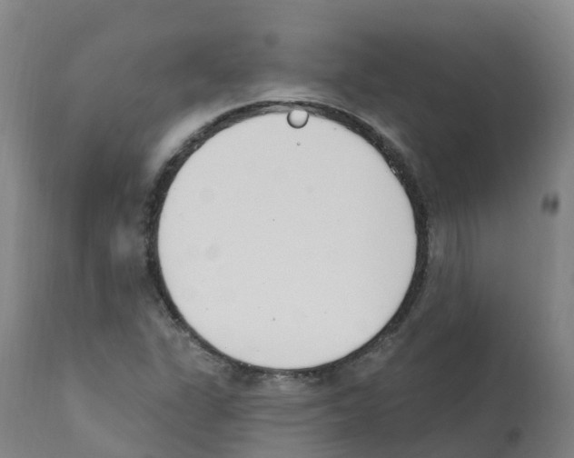 X0000112391311200909241229