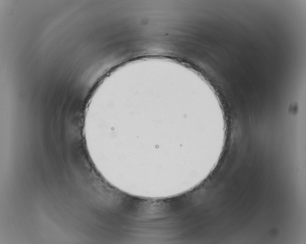 X0000112391314200909241229