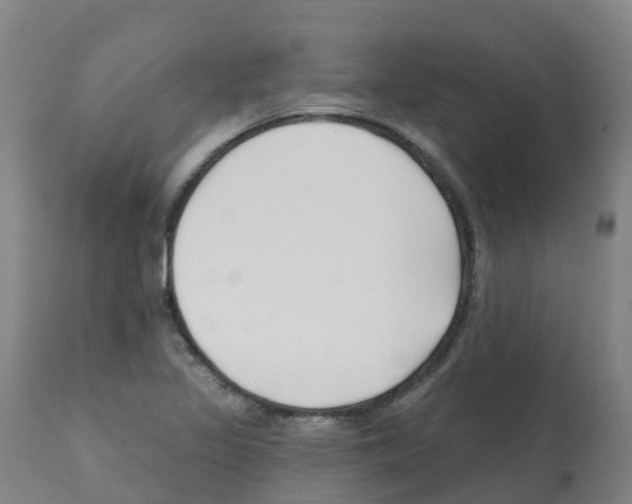 X0000112391317200909241229