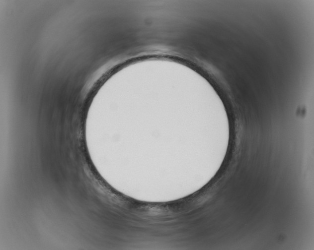 X0000112391318200909241229