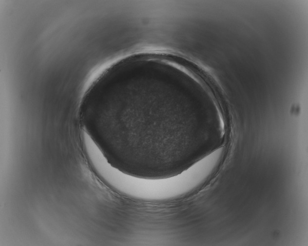X0000112391319200909241229