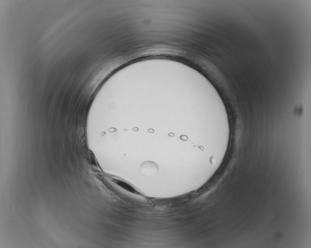 X0000112391321200909241229