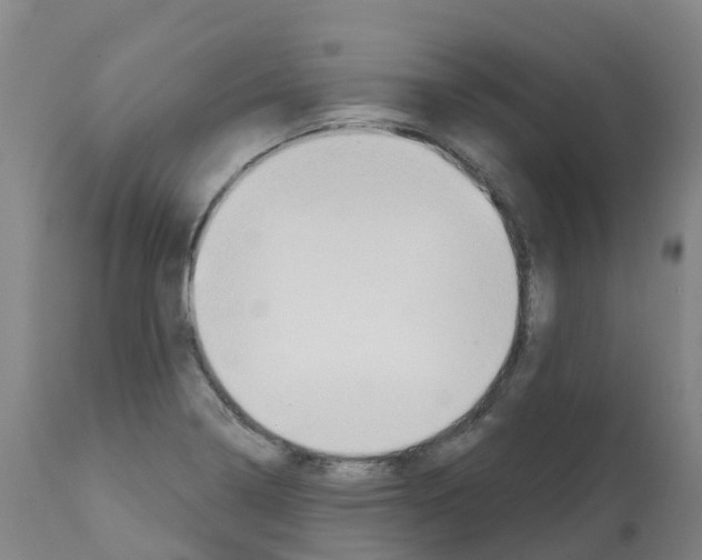 X0000112391322200909241229