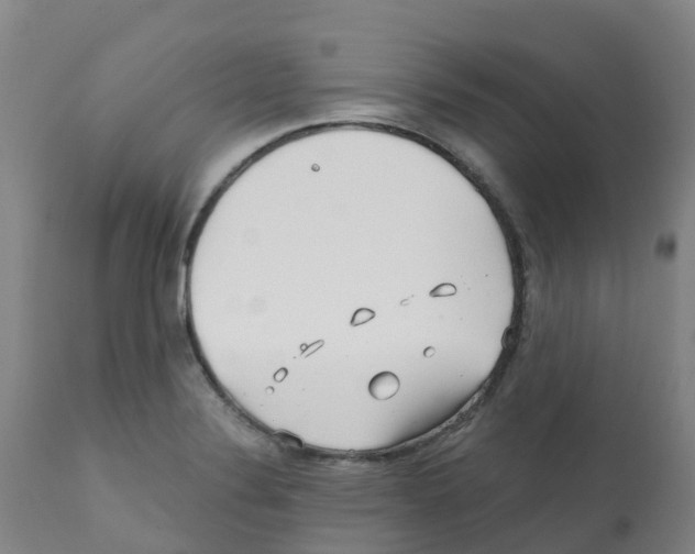 X0000112391324200909241229