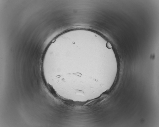 X0000112391325200909241229