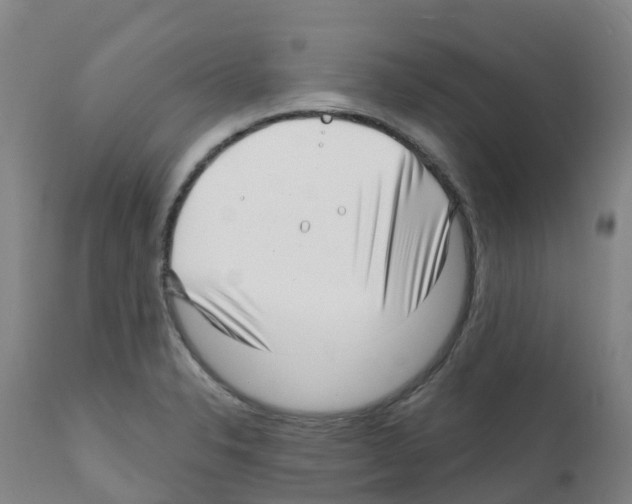 X0000112391326200909241229
