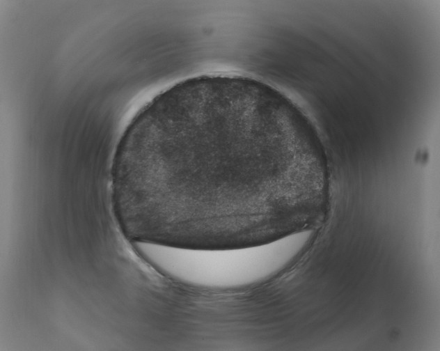 X0000112391327200909241229