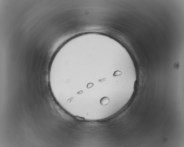 X0000112391328200909241229