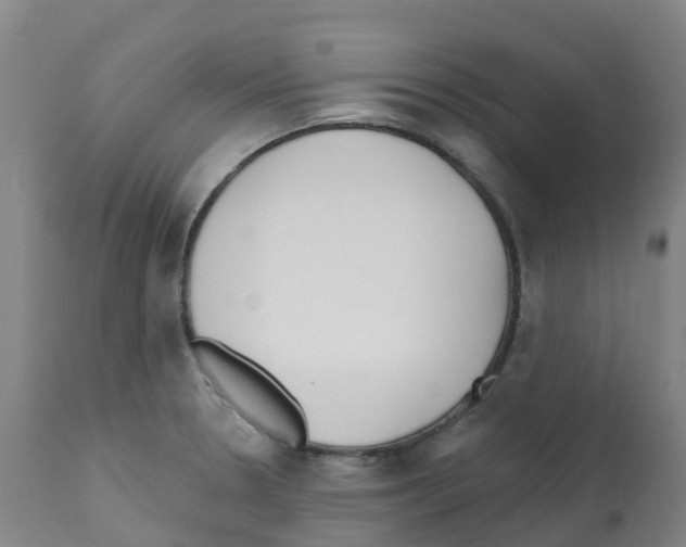 X0000112391330200909241229