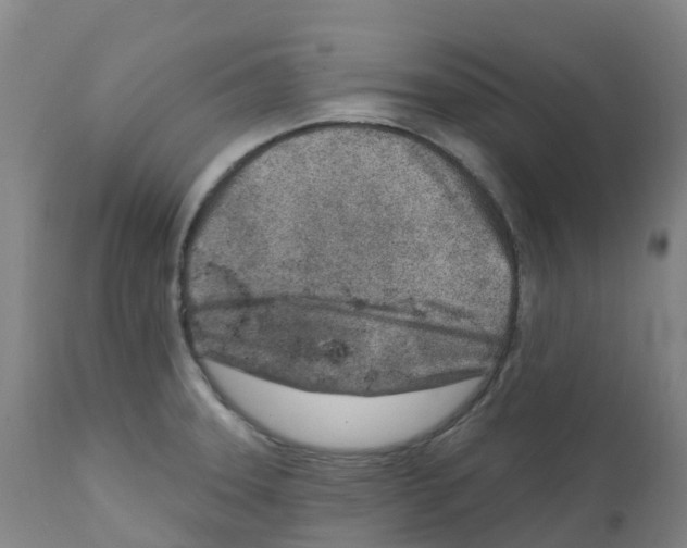 X0000112391331200909241229