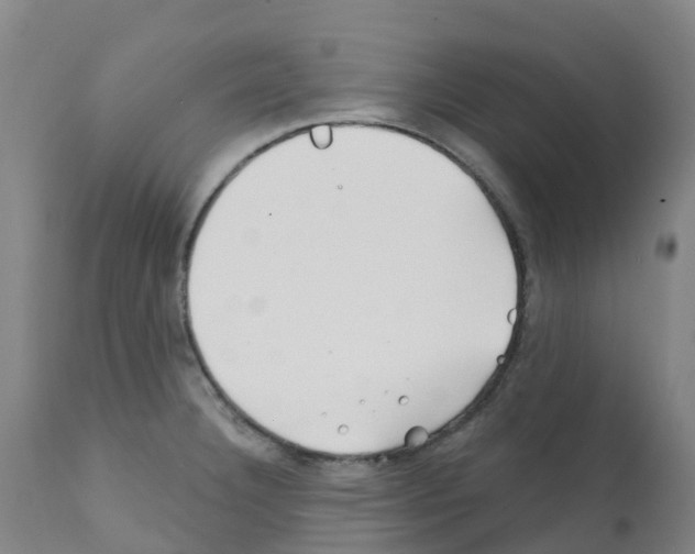 X0000112391332200909241229