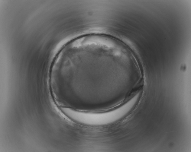X0000112391334200909241230