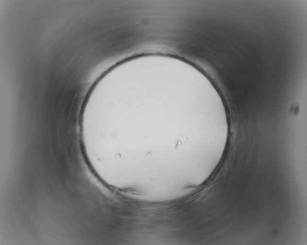 X0000112391335200909241230