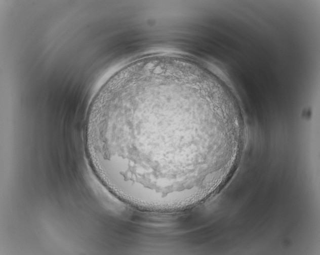 X0000112391338200909241230