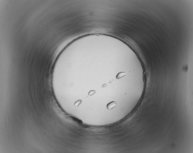 X0000112391340200909241230
