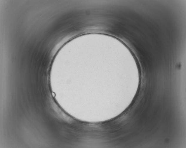 X0000112391341200909241230