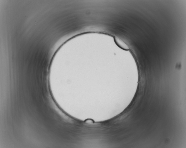 X0000112391343200909241230