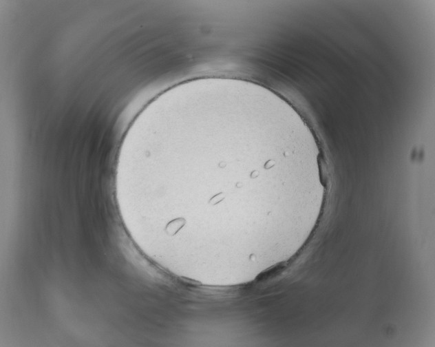 X0000112391344200909241230