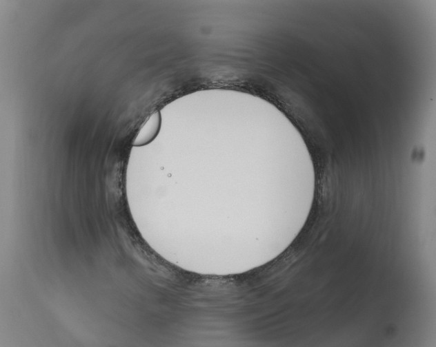 X0000112391346200909241229