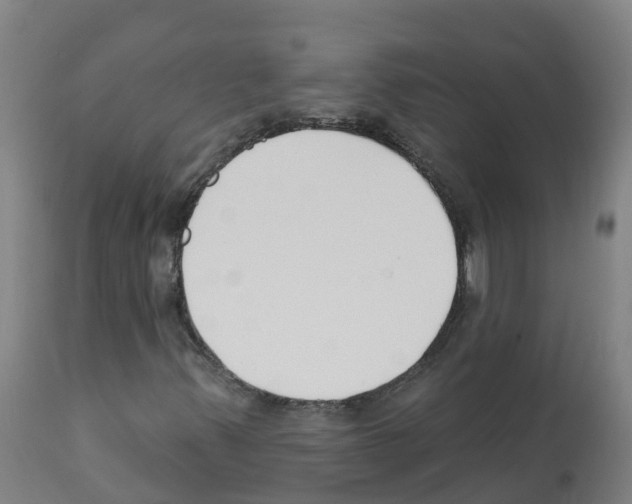X0000112391347200909241229