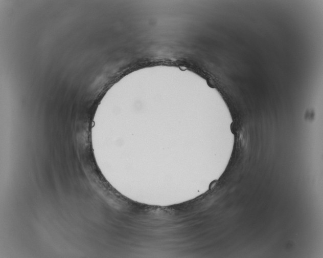 X0000112391348200909241229