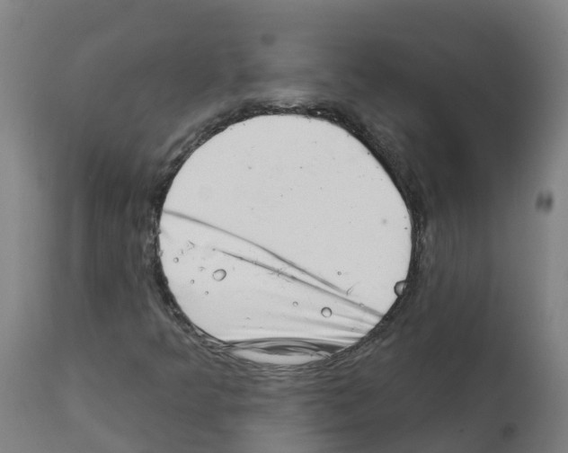 X0000112391349200909241229