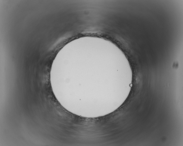 X0000112391350200909241229