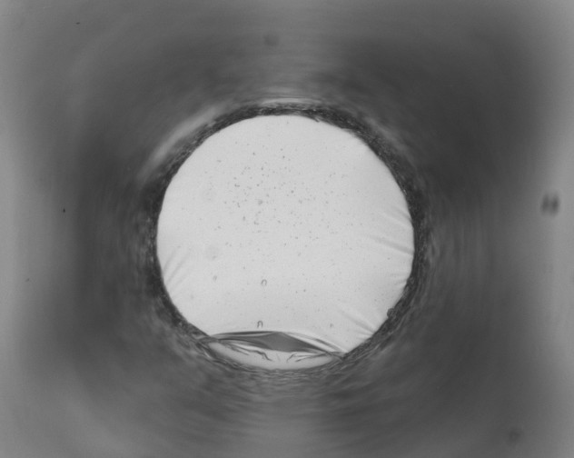 X0000112391351200909241229