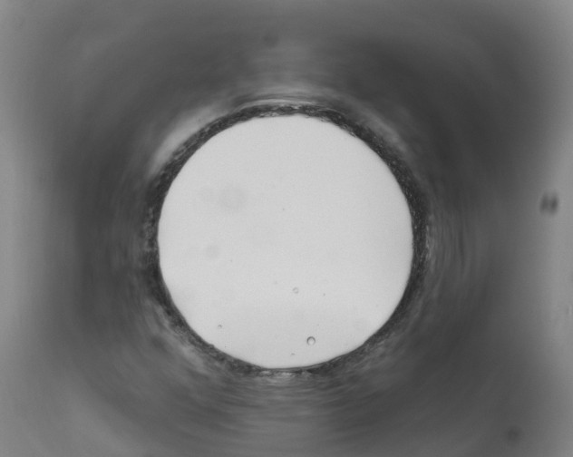 X0000112391352200909241229